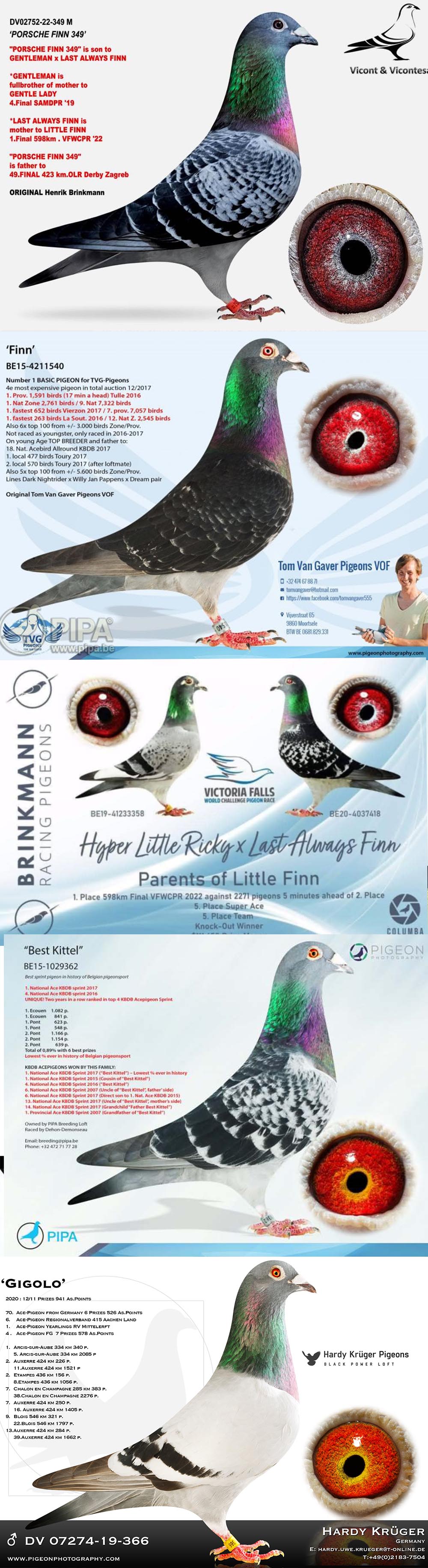 BG25-77007 ERKEK / SUPER FINN 007