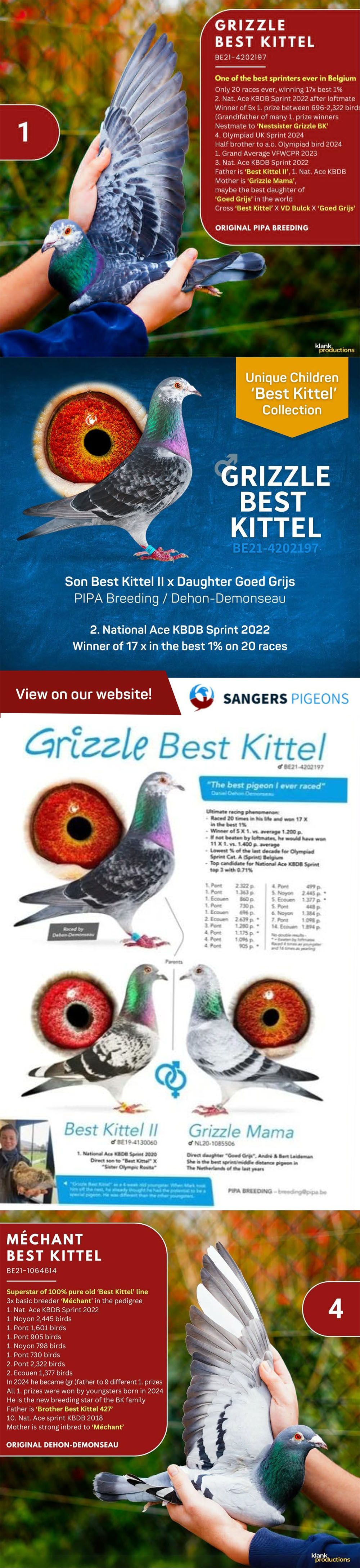 BG25-77050 ERKEK / SUPER BEST KITTEL 50 