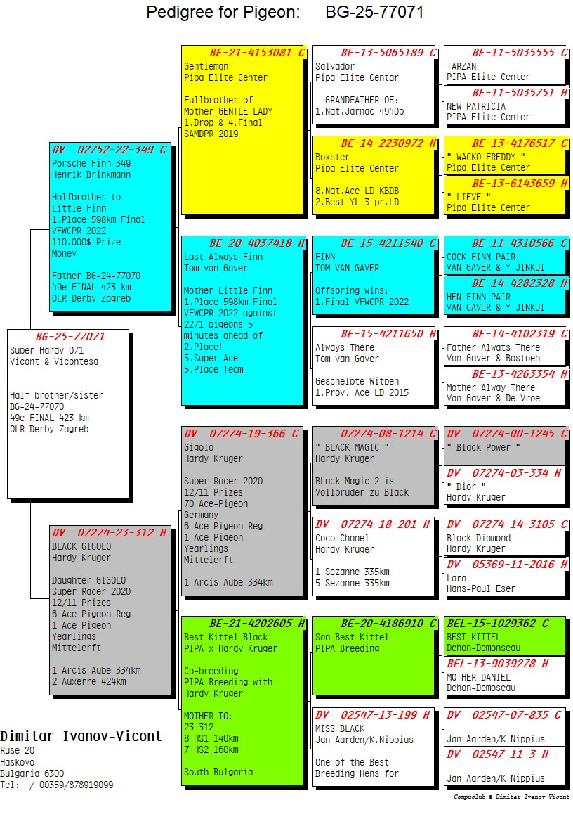 BG25-77071 DİŞİ / SUPER HARDY 071
