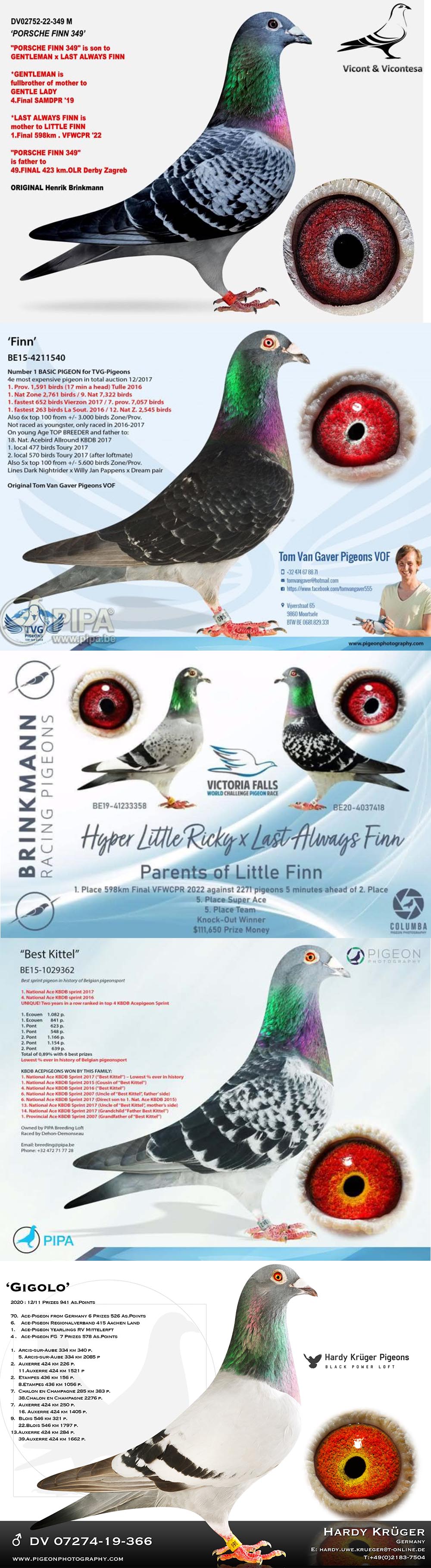 BG25-77071 DİŞİ / SUPER HARDY 071