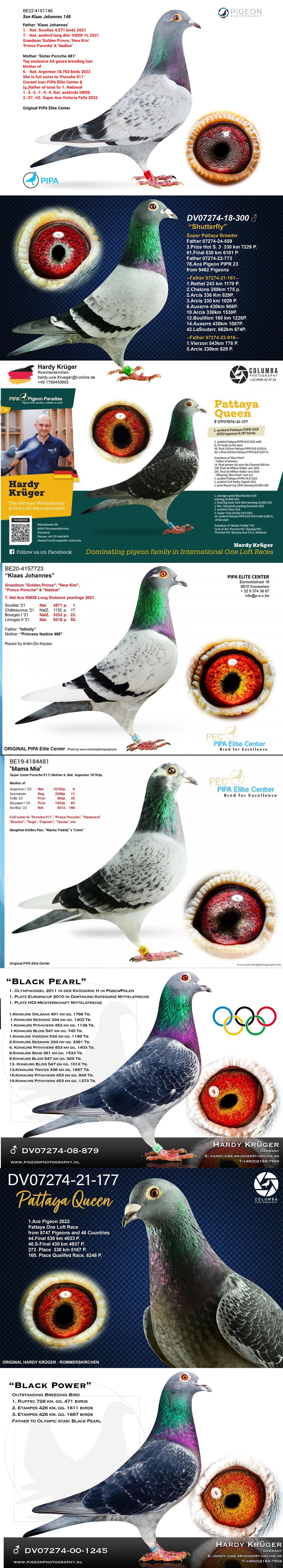 BG25-77137 ERKEK / SUPER HARDY 137 