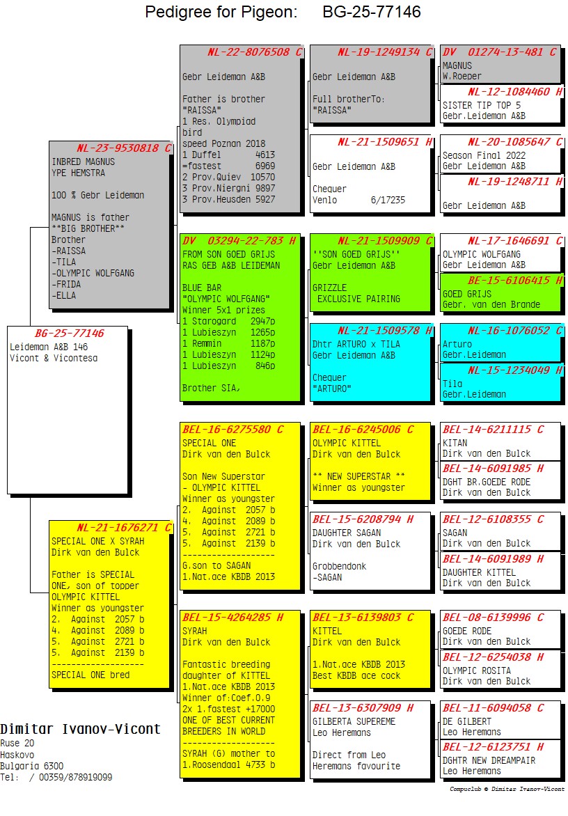 BG25-77146 ERKEK / LEIDEMANN A&B 146