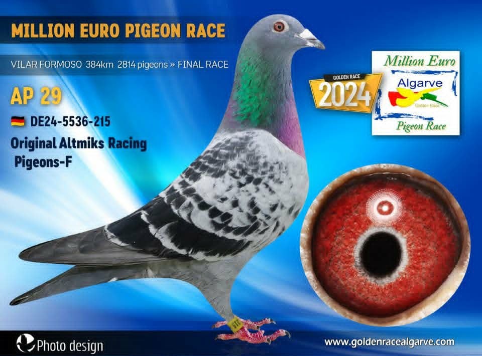 BG25-77200 ERKEK / POKERFACE 200