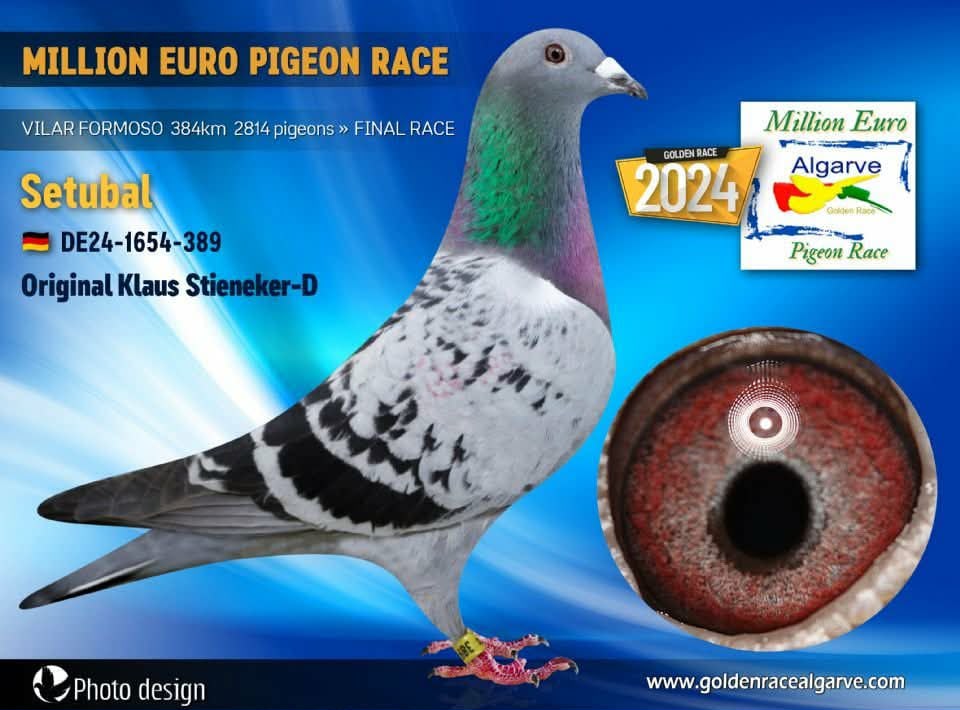 BG25-77200 ERKEK / POKERFACE 200
