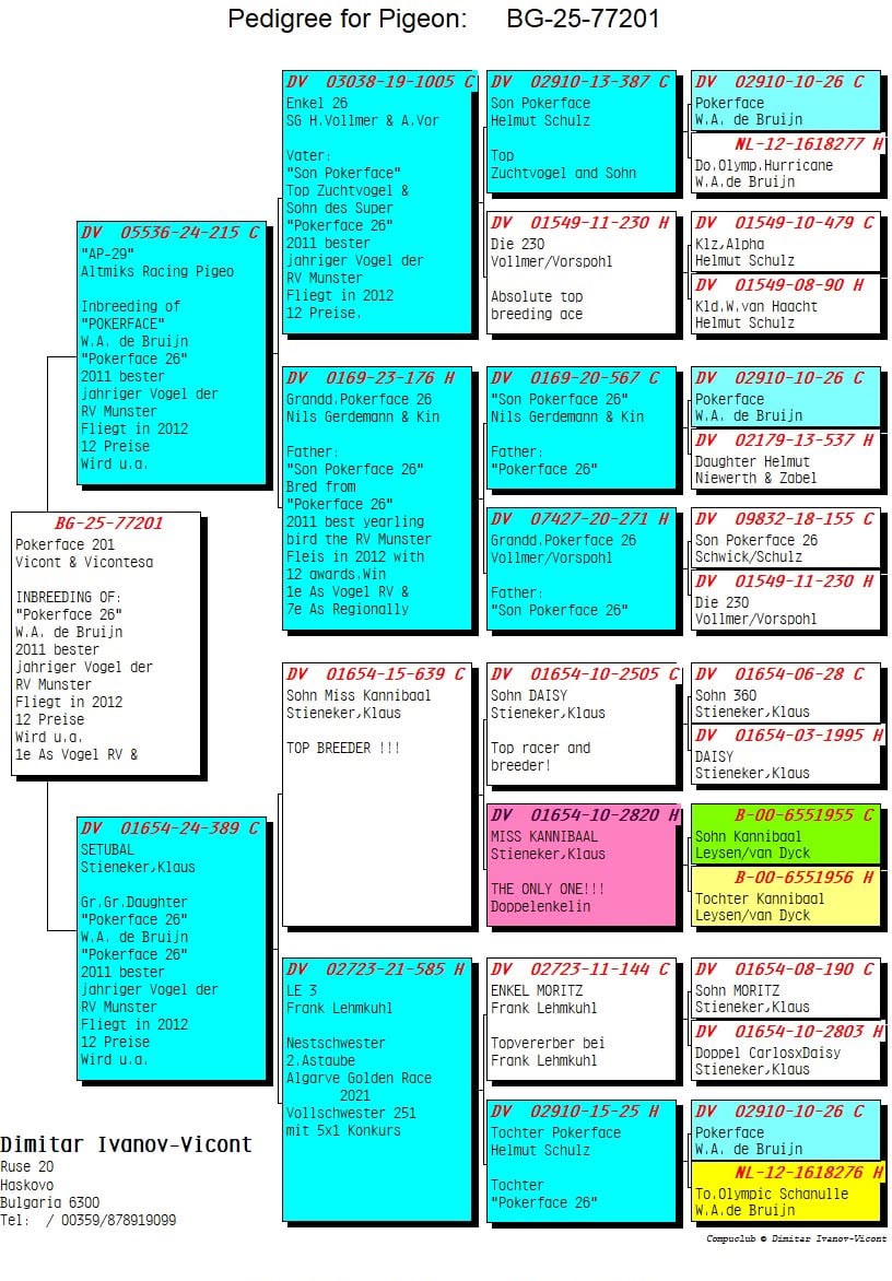 BG25-77201 ERKEK / POKERFACE 201
