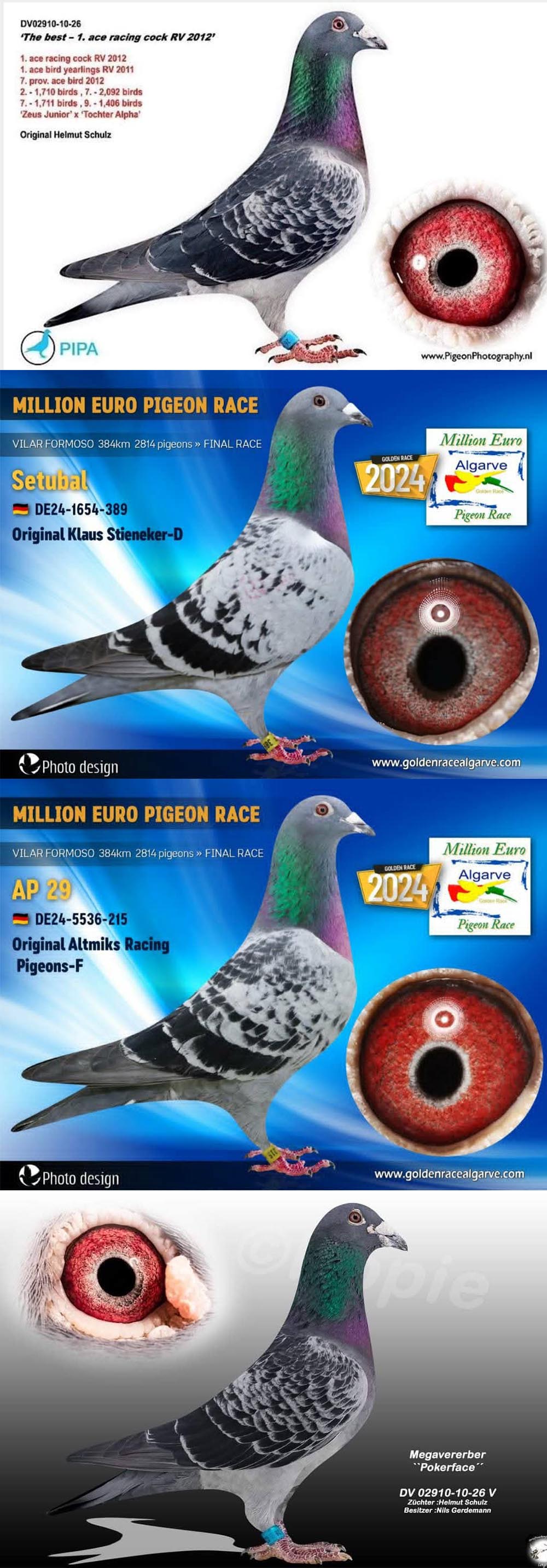 BG25-77201 ERKEK / POKERFACE 201