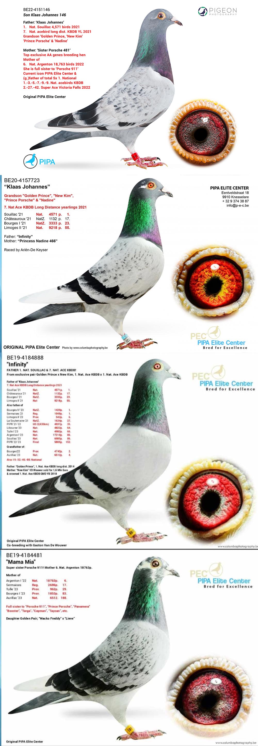 BG25-77215 DİŞİ / SUPER HARDY 215