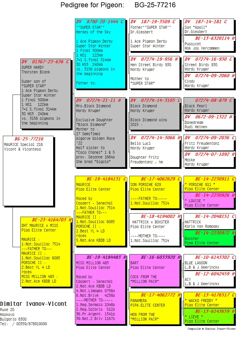 BG25-77216 ERKEK / MAURICE SPECIAL 216