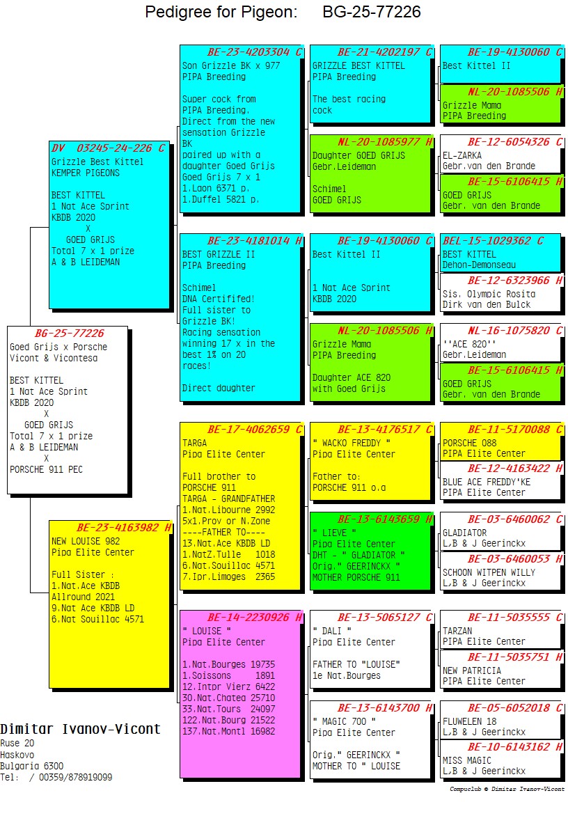 BG25-77226 ERKEK / GOED GRIJS X PORSCHE