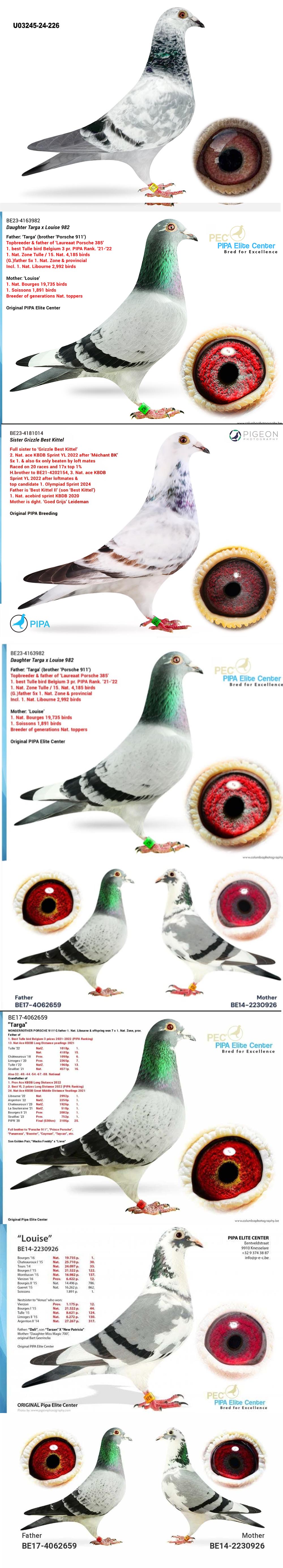 BG25-77226 ERKEK / GOED GRIJS X PORSCHE