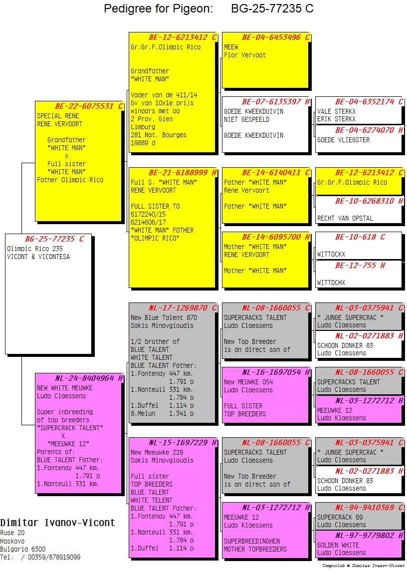 BG25-77235 ERKEK / OLIMPIC RICO 235