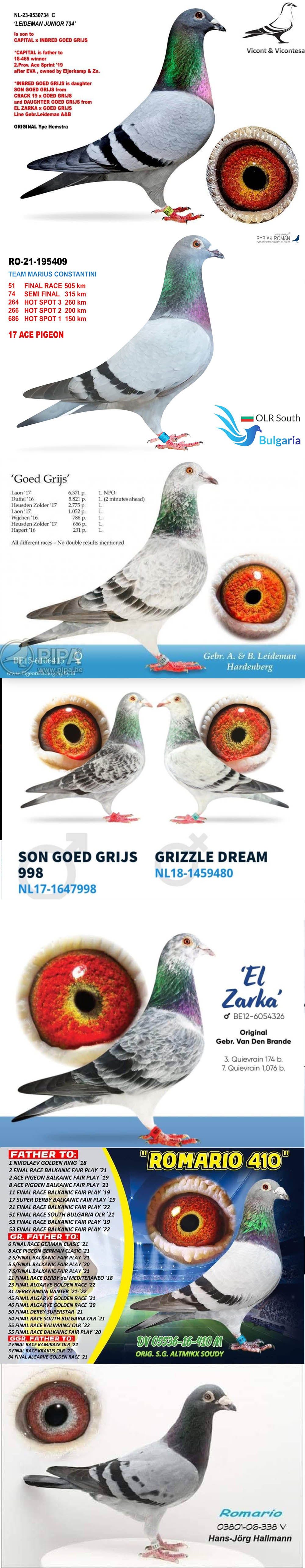 BG25-77240 ERKEK / SUPER LEIDEMAN 240