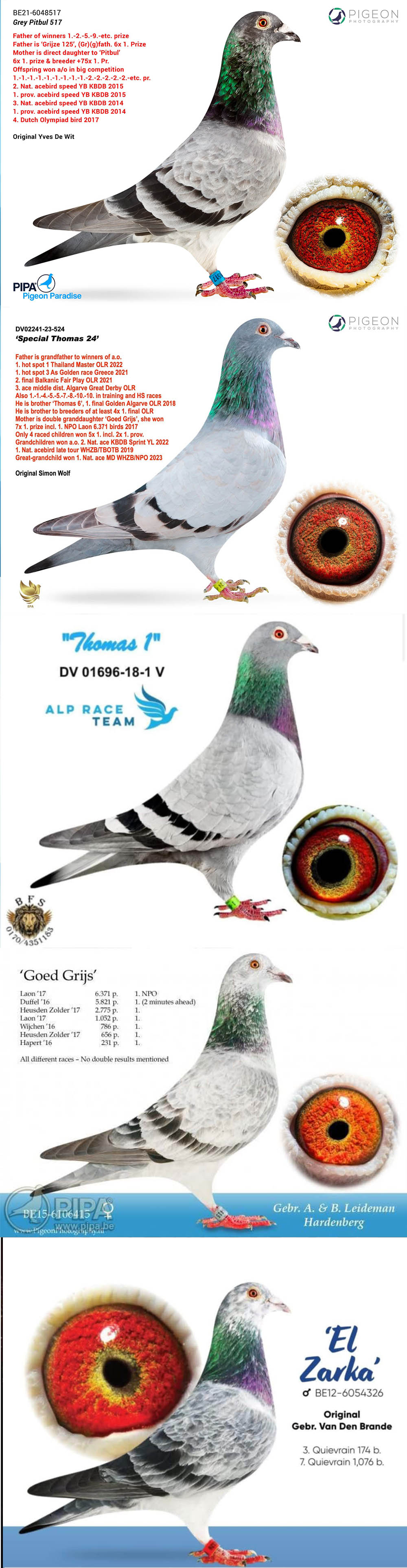 BG25-77256 ERKEK / LEIDEMAN X THOMAS 1