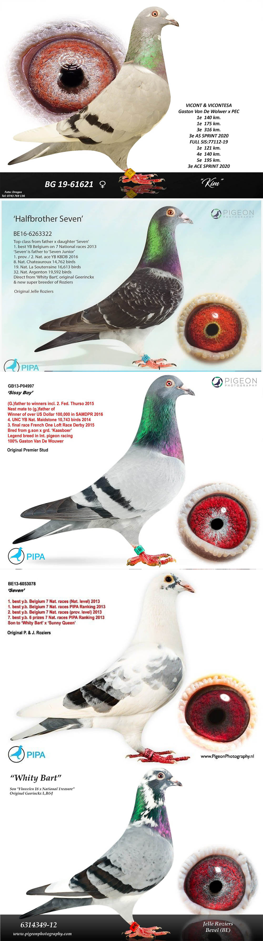 BG25-77282 DİŞİ / SUPER GEERINCKX 282 
