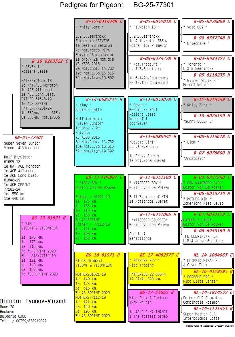 BG25-77301 ERKEK /  SUPER SEVEN JUNIOR 301
