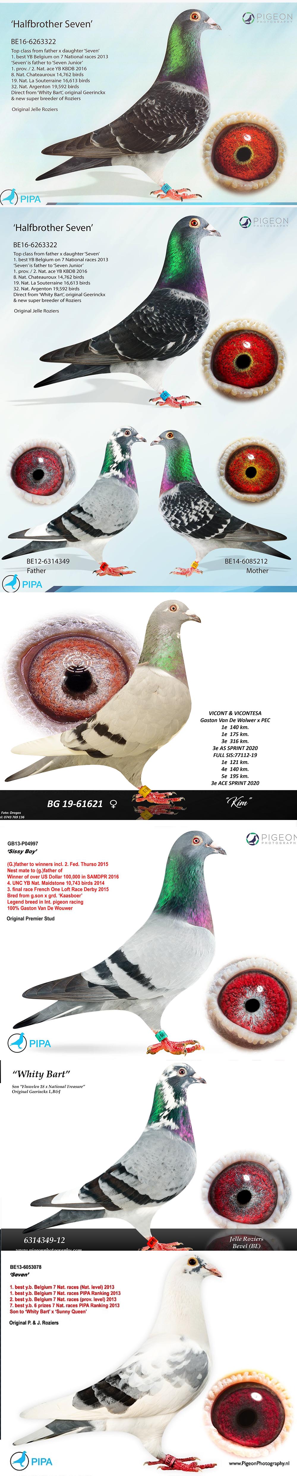 BG25-77301 ERKEK /  SUPER SEVEN JUNIOR 301