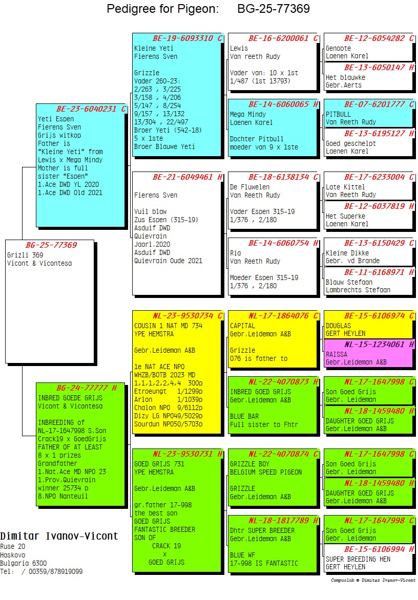 BG25-77369 ERKEK / VAN REET'S LIEDEMAN 369 