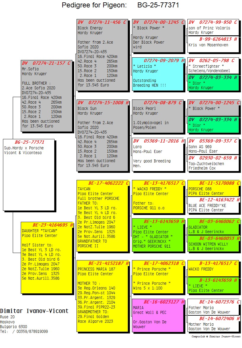 BG25-77371 DİŞİ / SUPER PORSCHE KRUGER 371