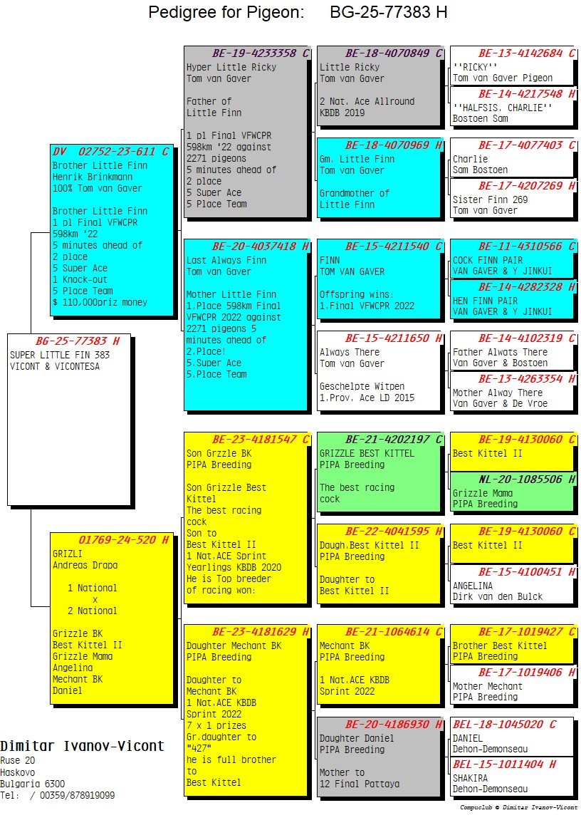 BG25-77383  DİŞİ / SUPER LITTLE FINN 383