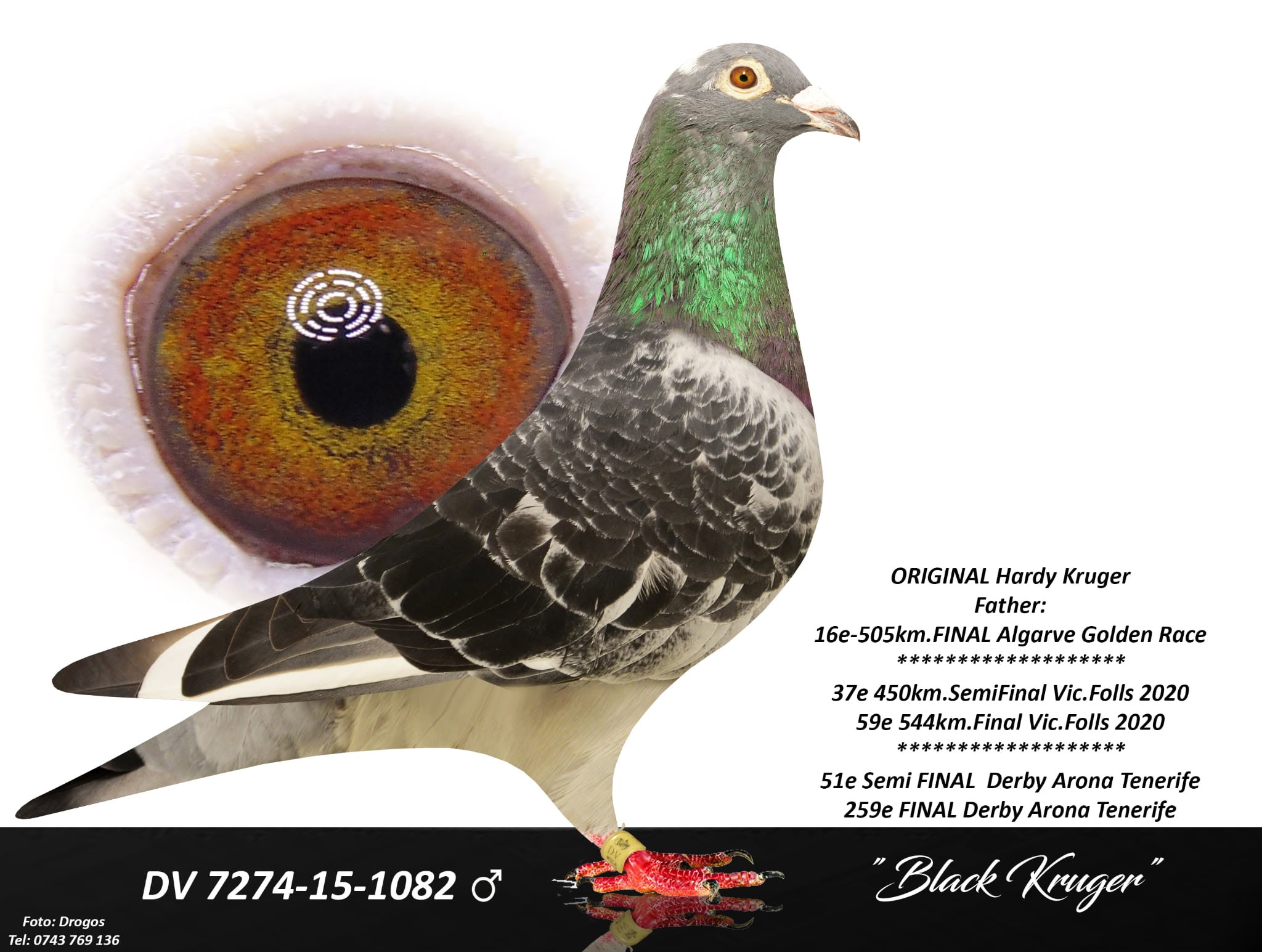 BG25-77390 ERKEK / SUPER HARDY 390 