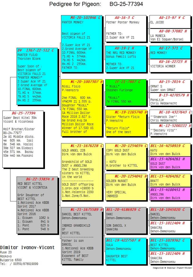 BG25-77394 ERKEK / SUPER BEST KITTEL 394 