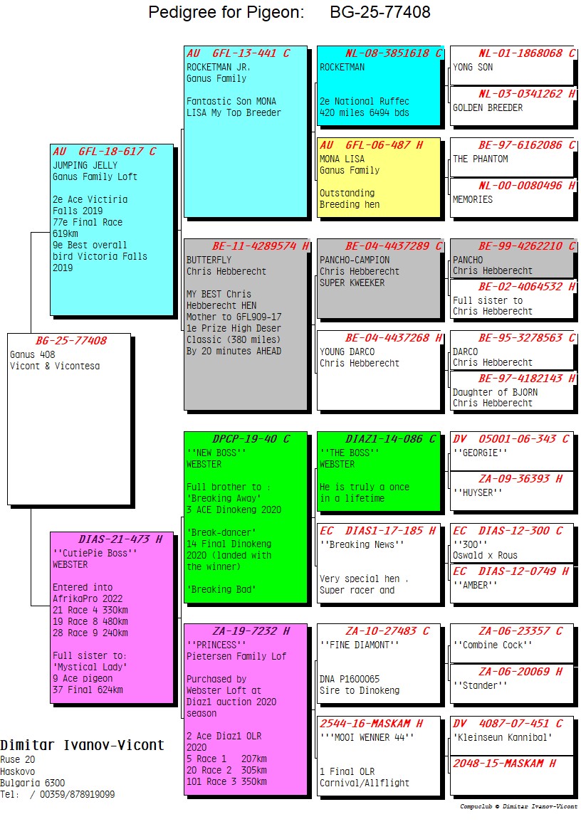BG25-77408 DİŞİ / GANUS 408