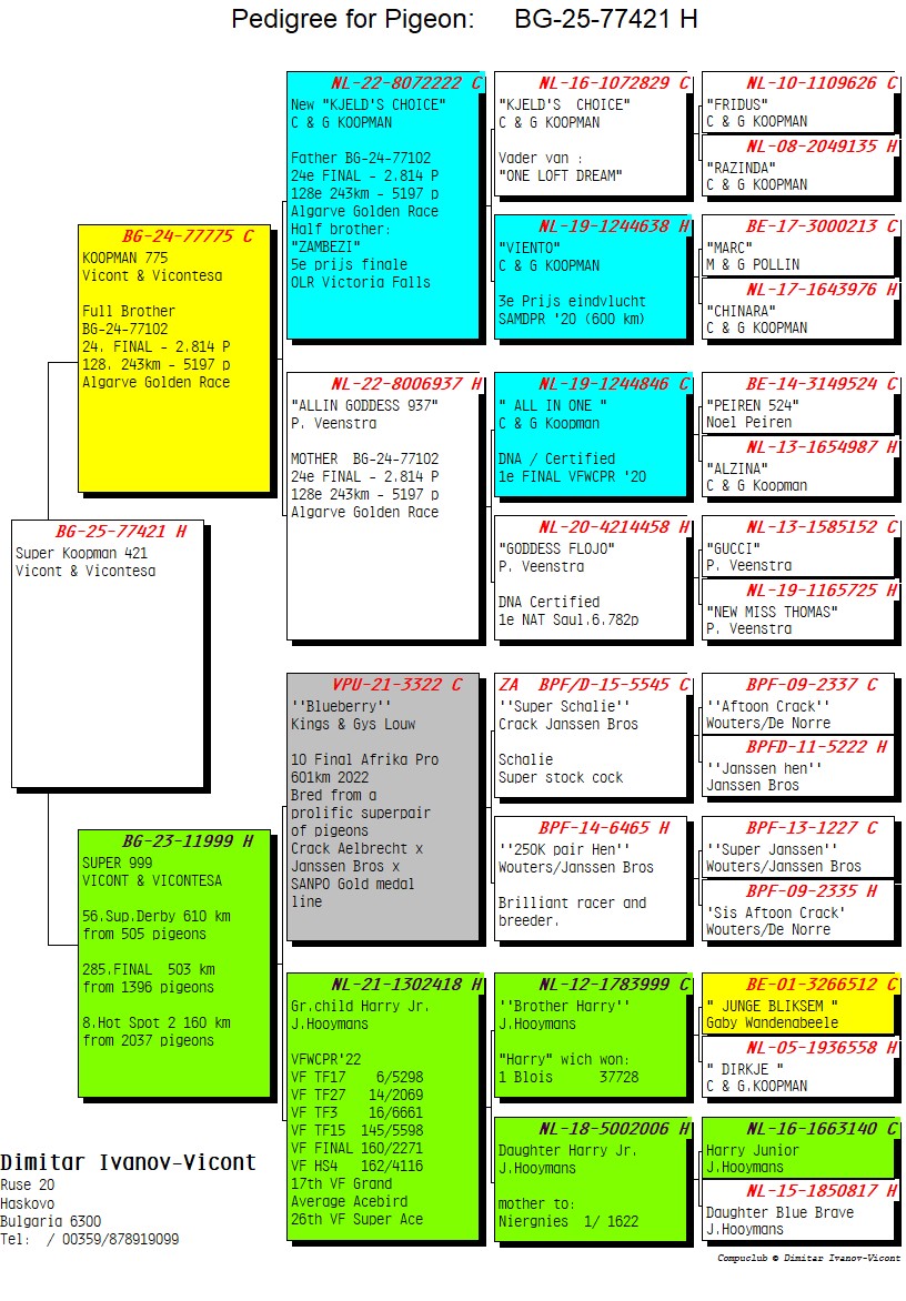 BG25-77421 DİŞİ / SUPER KOOPMAN 421