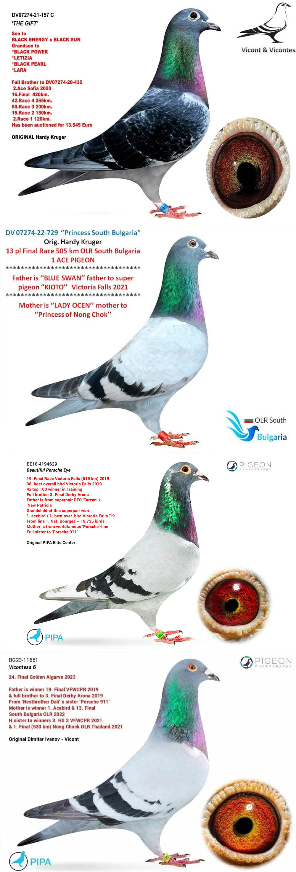 BG25-77442 DİŞİ / SUPER HARDY 442