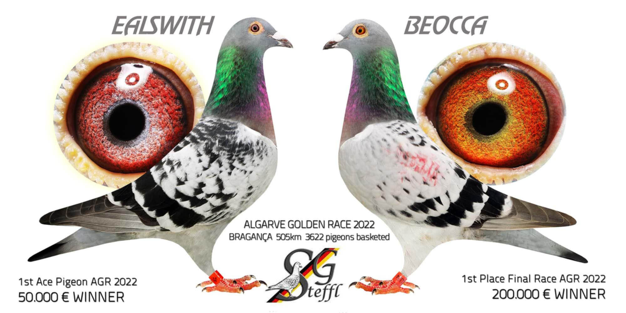 BG25-77446 ERKEK / SG STEFFL % 100 EALSWITH - BEOCA -GIANT PAIR
