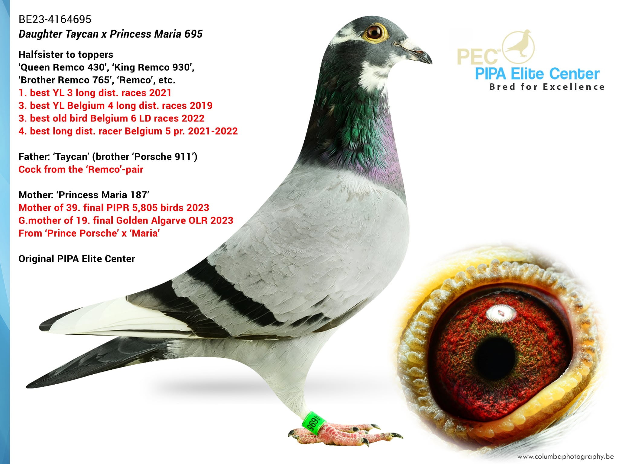 BG25-77456 DİŞİ / SUPER HARDY 456