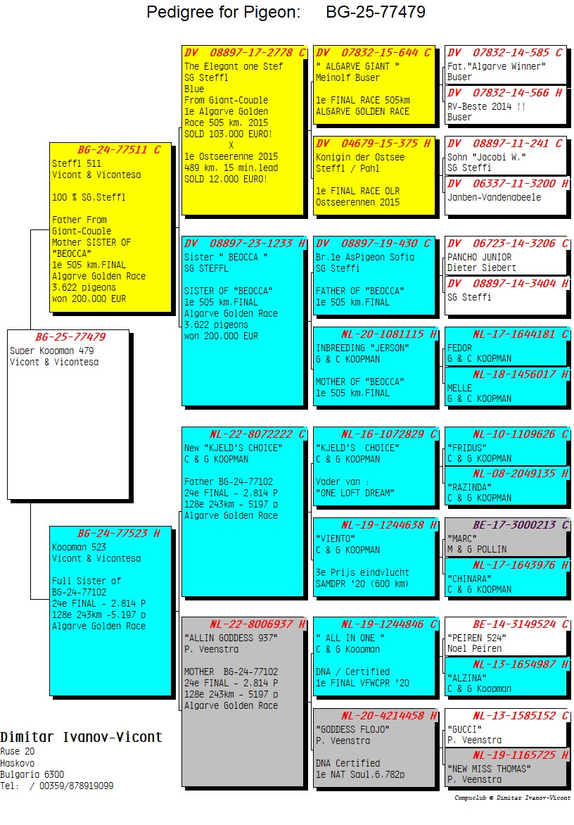BG25-77479 / SG STEFFL X KOOPMAN