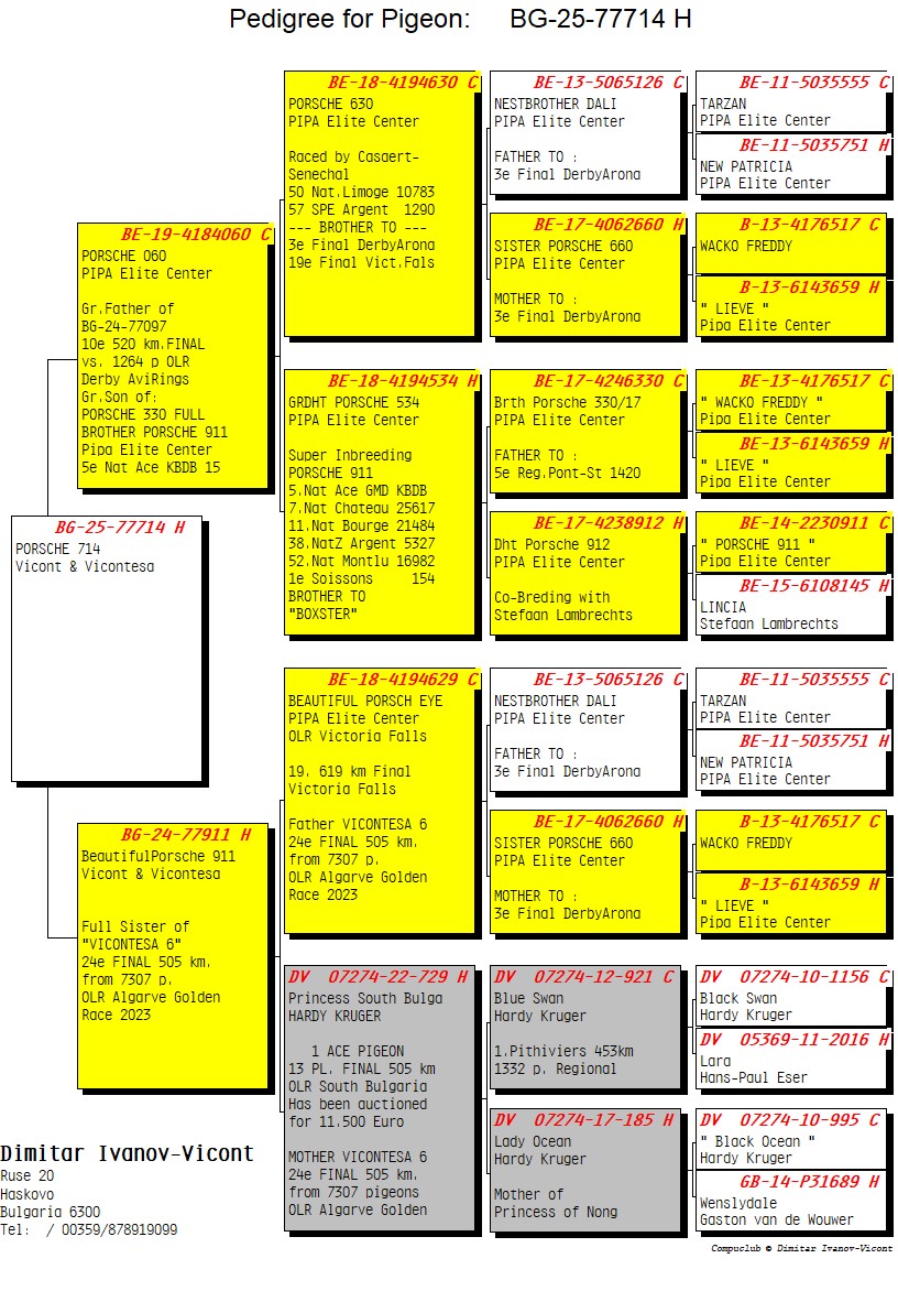 BG25-77714 DİŞİ / PORSCHE 714 