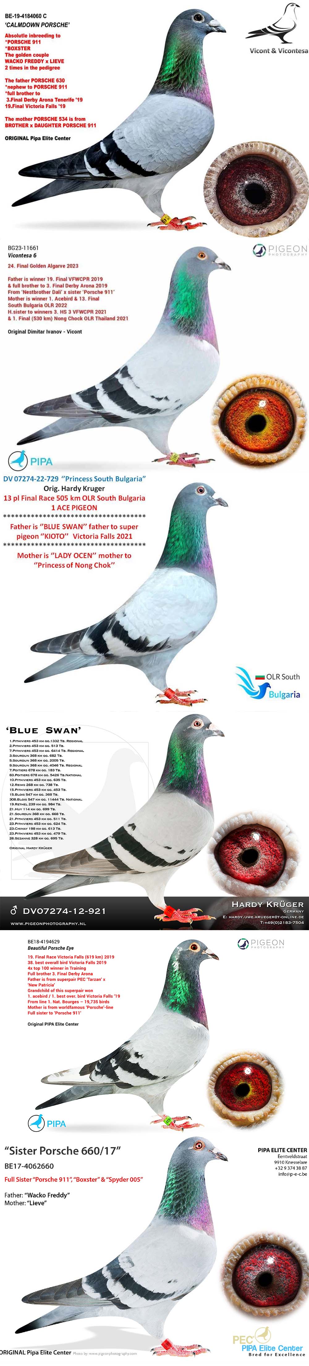 BG25-77714 DİŞİ / PORSCHE 714 