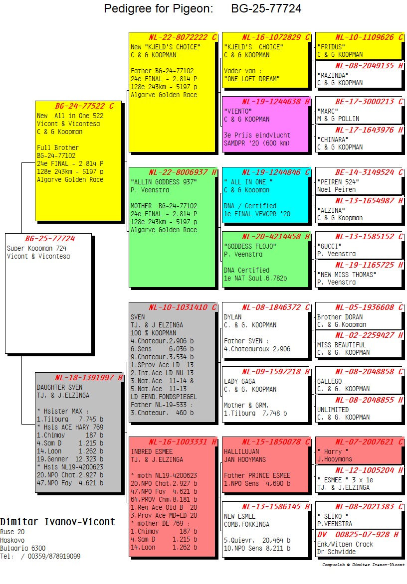 BG25-77724 ERKEK / SUPER KOOPMAN 724