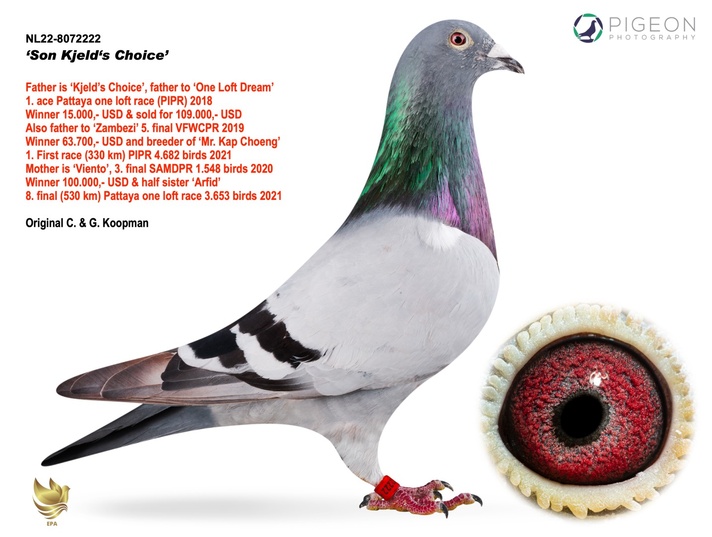 BG25-77724 ERKEK / SUPER KOOPMAN 724