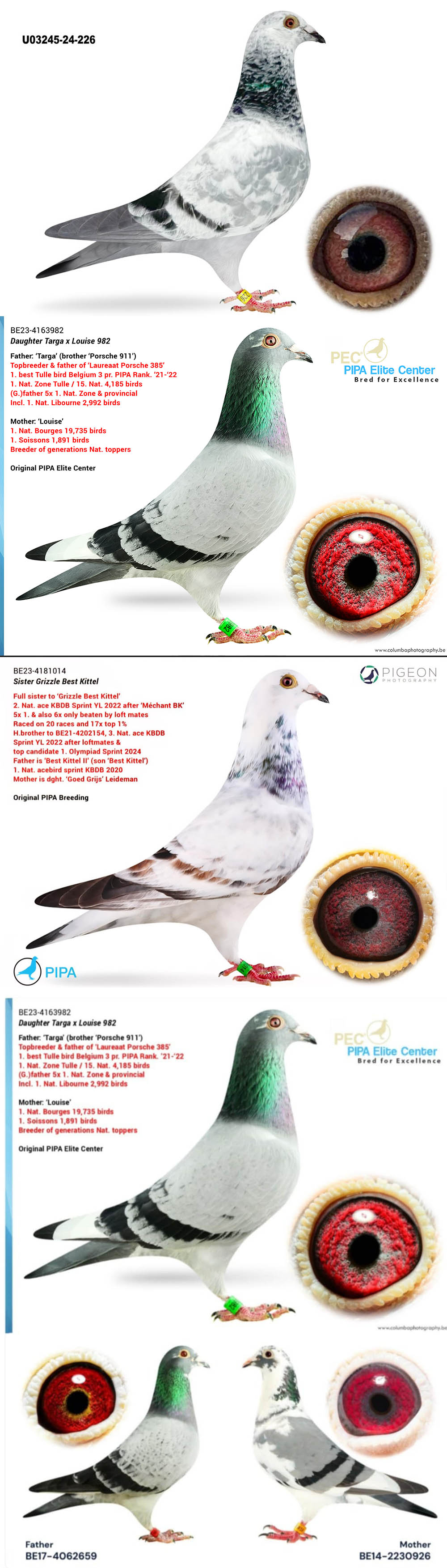 BG25-77747 ERKEK / GOED GRIJS X PORSCHE 