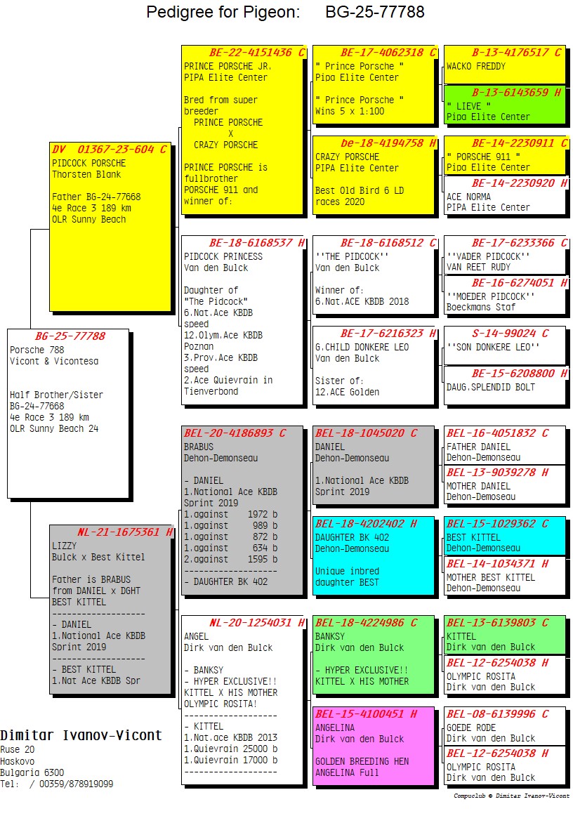 BG25-77788 ERKEK / BEST KITTEL S 788