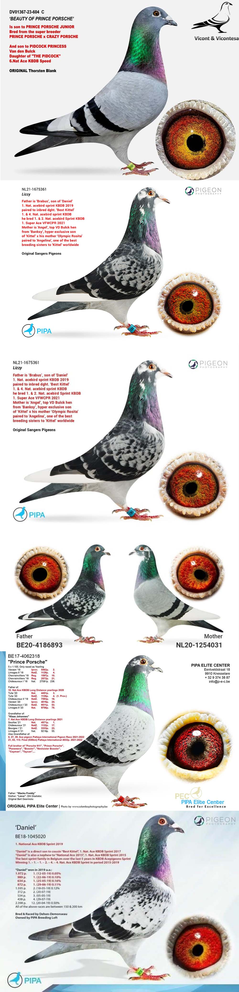 BG25-77788 ERKEK / BEST KITTEL S 788