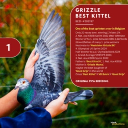 BG25-77970 DIŞI  / SUPER BEST KITTEL 70 