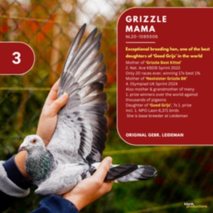 BG25-77970 DIŞI  / SUPER BEST KITTEL 70 