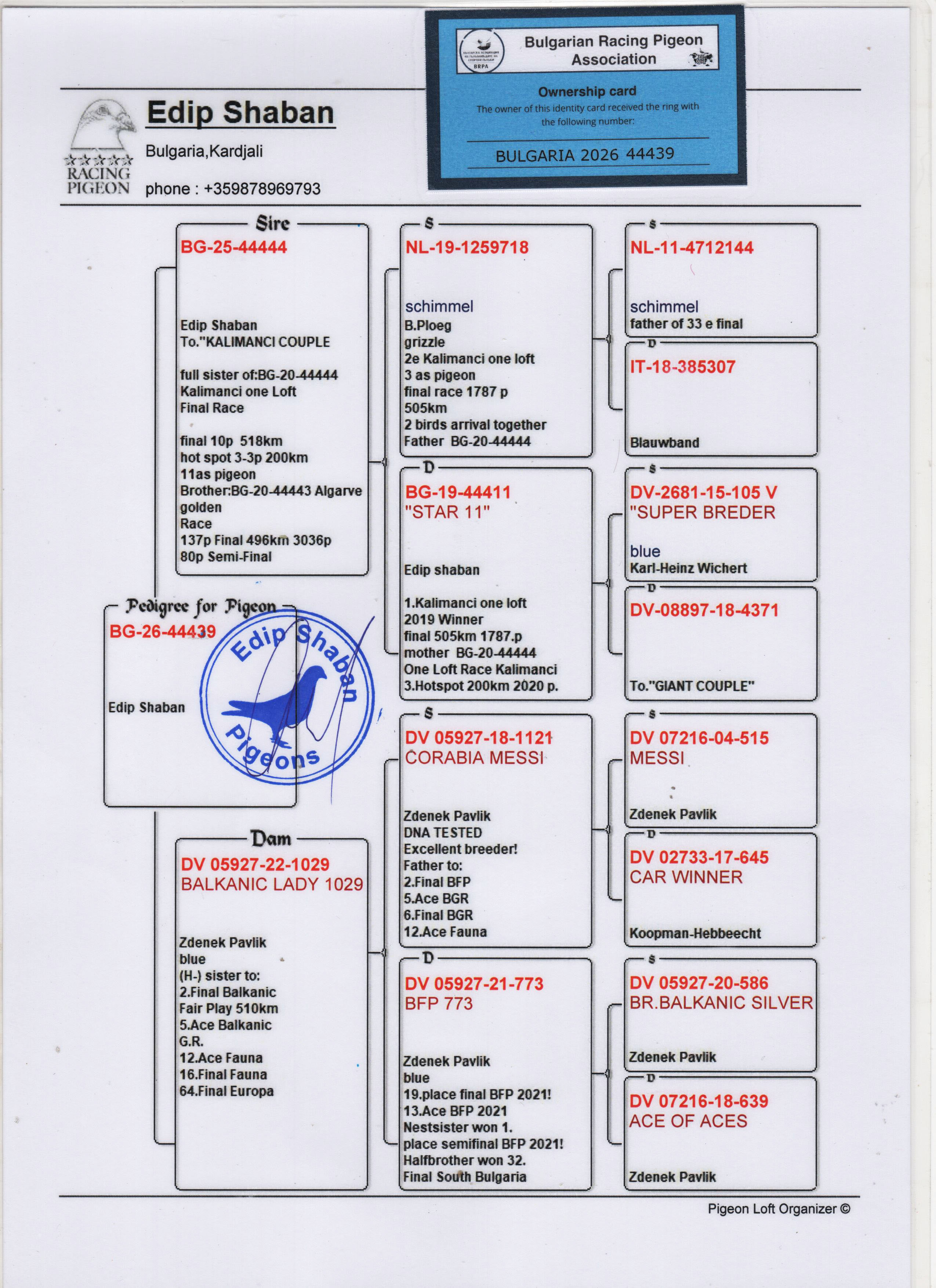 BG26-44439 DİŞİ / BABASININ KALIMANCI COUPLE  - 1 FİNAL KALIMANCI ANNESİ CORABİA MESSİ KIZI
