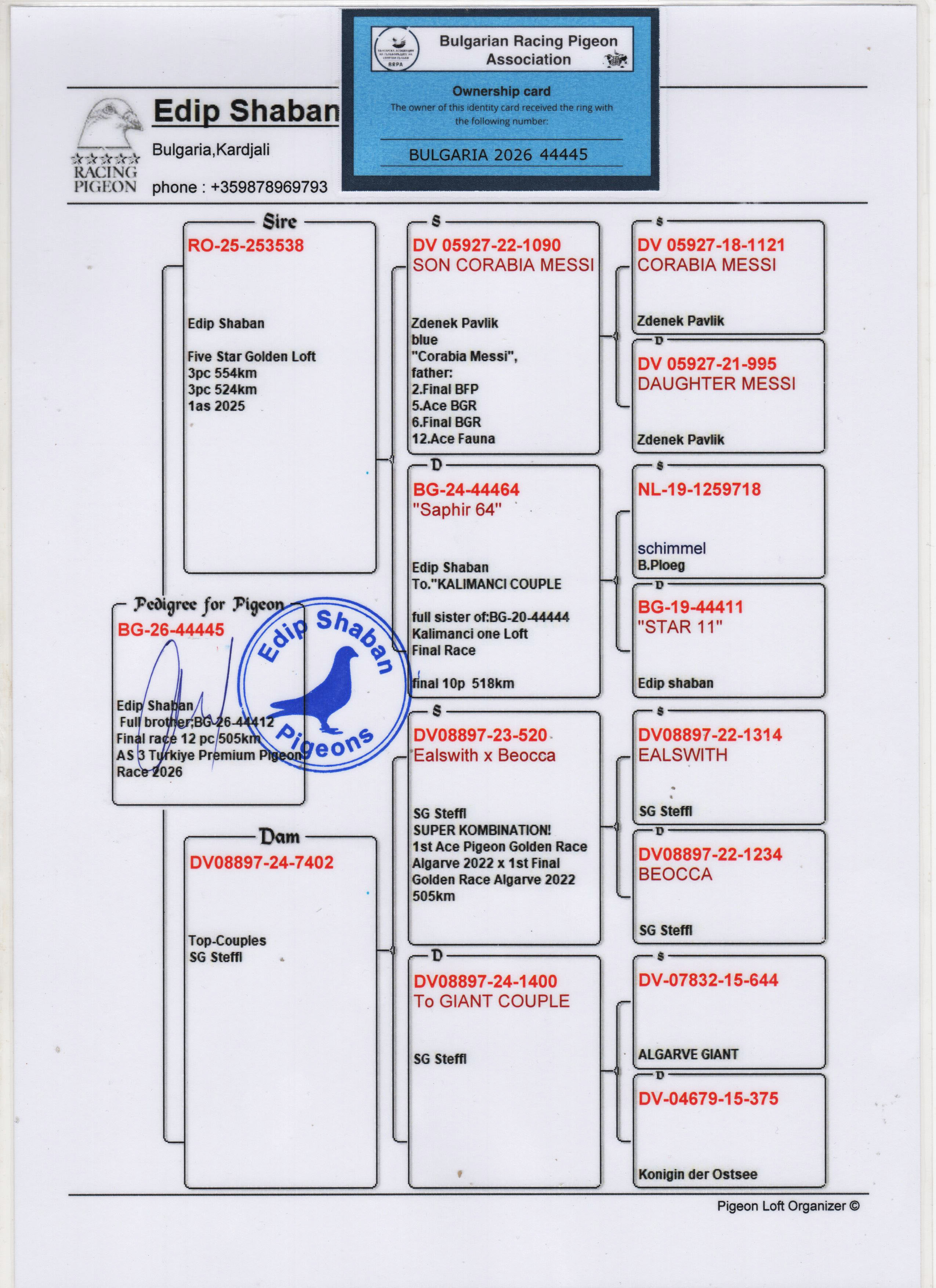 BG26-44445 ERKEK / TAM KARDEŞİ 3 AS G&Uuml;VERCİN PREMİUM 2026 