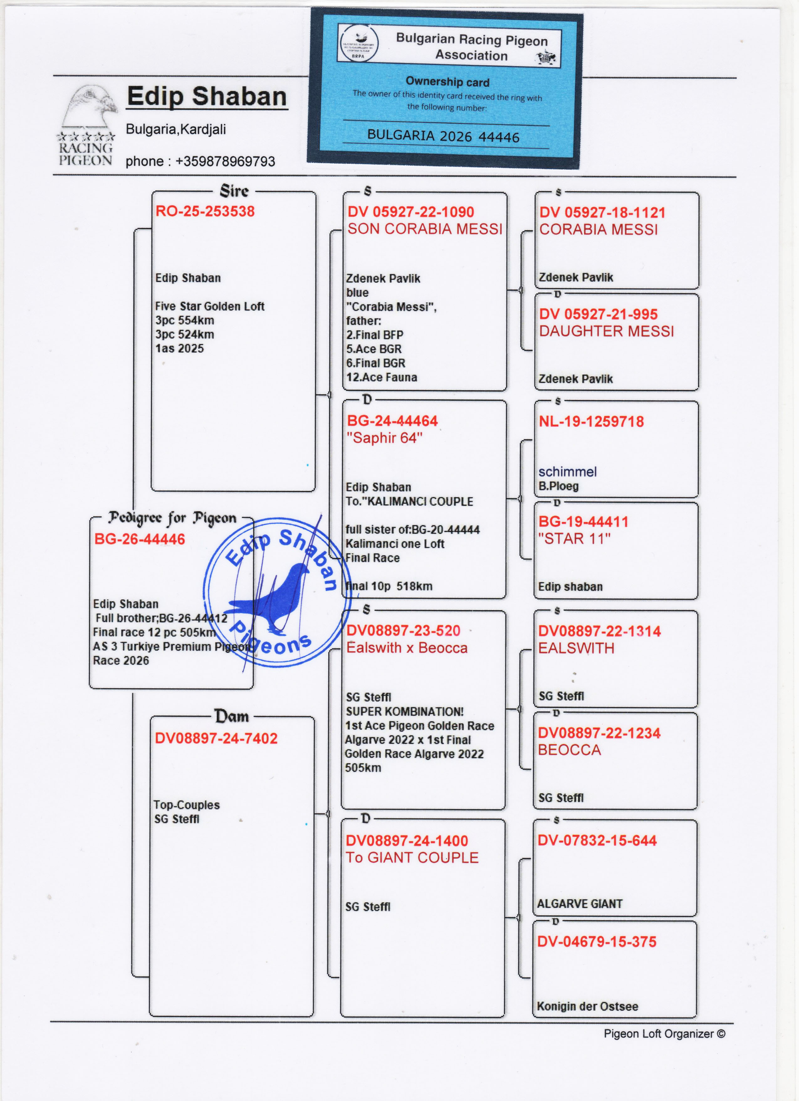 BG26-44446 ERKEK / TAM KARDEŞİ 3 ACE G&Uuml;VERCİN & 12 FİNAL 505 KM 