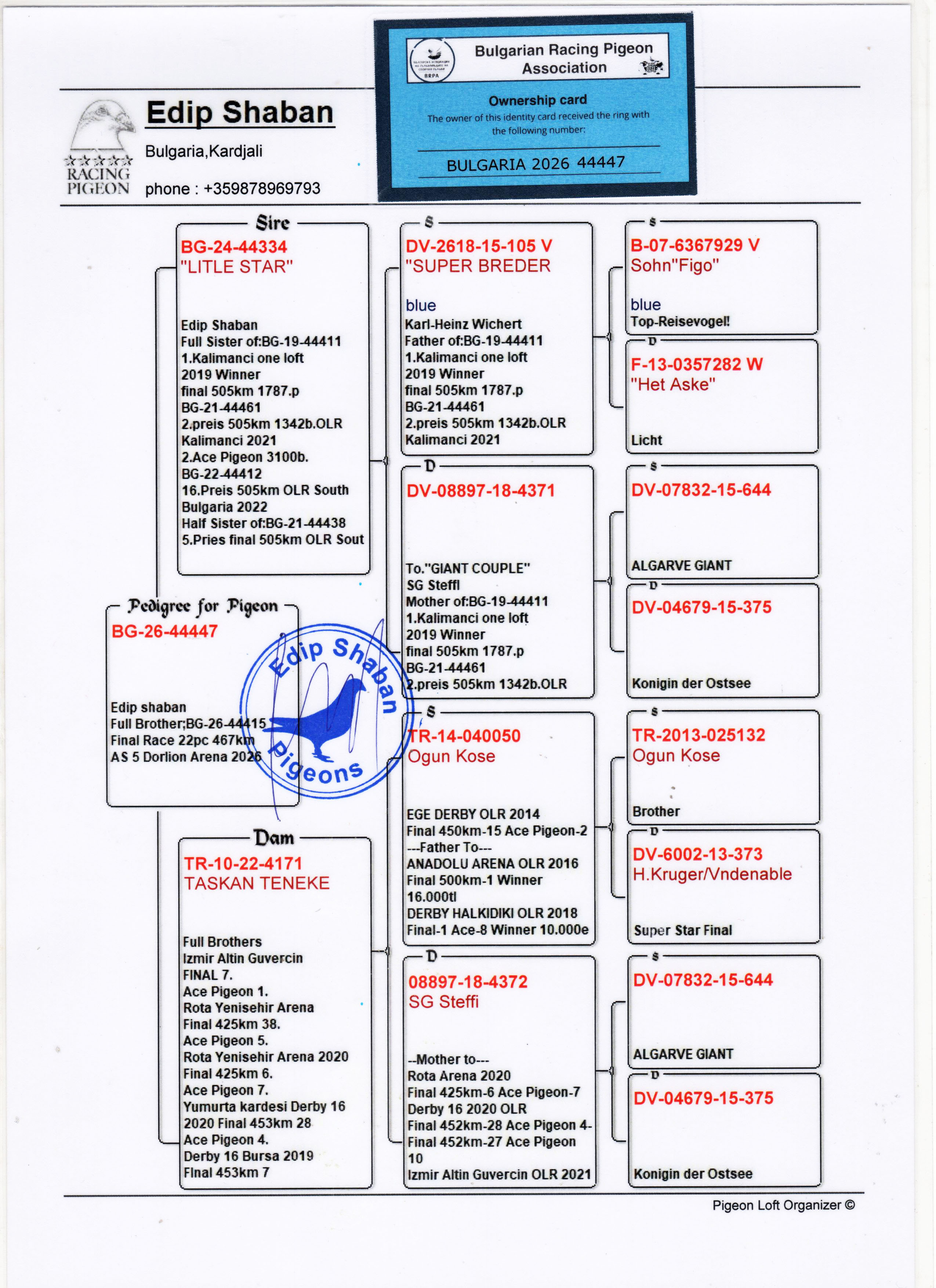 BG26-44447 DİŞİ / TAM KARDEŞİ DORLİON ARENA 22. FİNAL 467 KM & 5 AS G&Uuml;VERCİN 2026