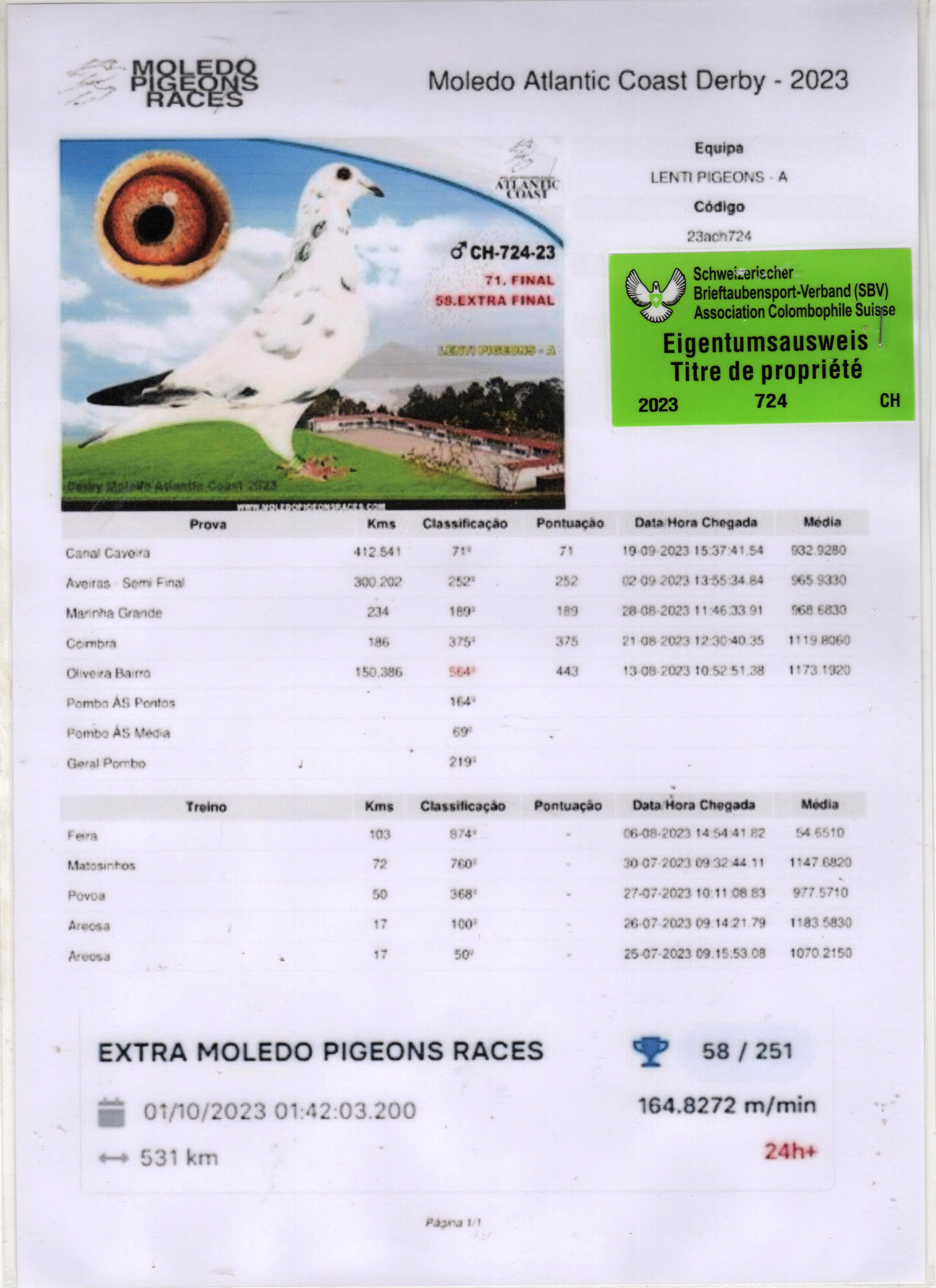 CH23-274 ERKEK / 71 FİNAL 413 KM MONELO ATLANTİK 2023