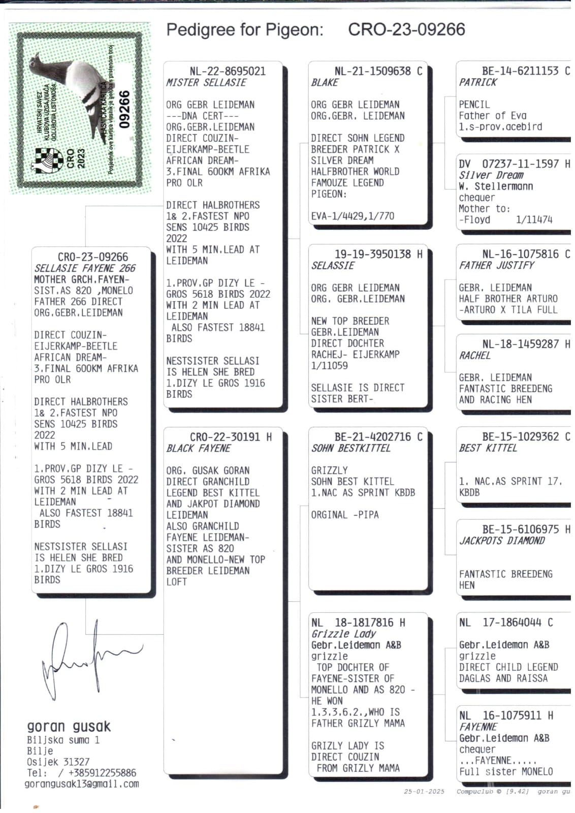 CRO23-09266 DİŞİ / GRIZZLE LADY DİREK TORUNU - GEBR LEIDEMAN - BEST KITTEL