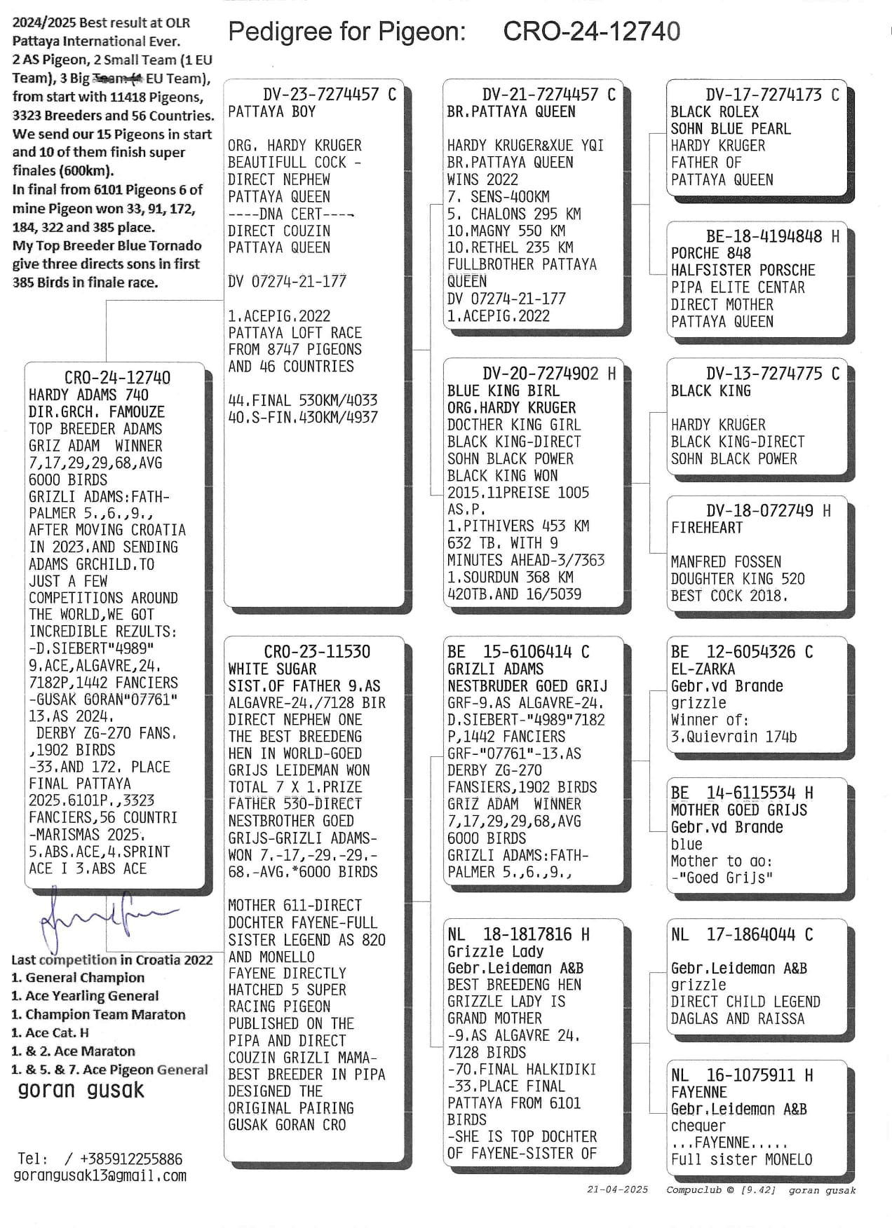 CRO24-12740 DİŞİ / GRIZLE ADAMS TORUNU PATTAYA QUEEN HARDY TORUNU