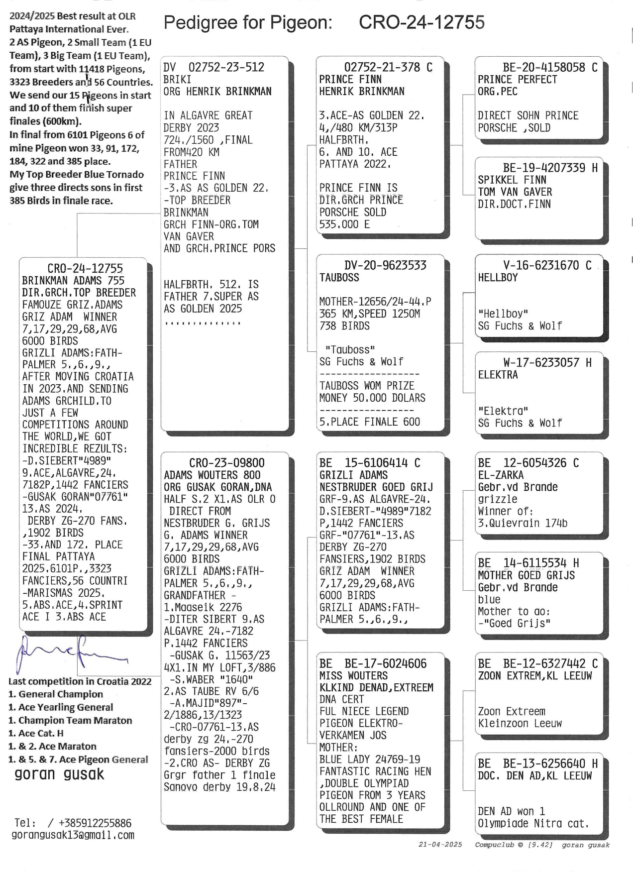 CRO24-12755 DİŞİ / GRIZLI ADAMS TORUNU - GEBR LEIDEMAN - H. BRINKMAN