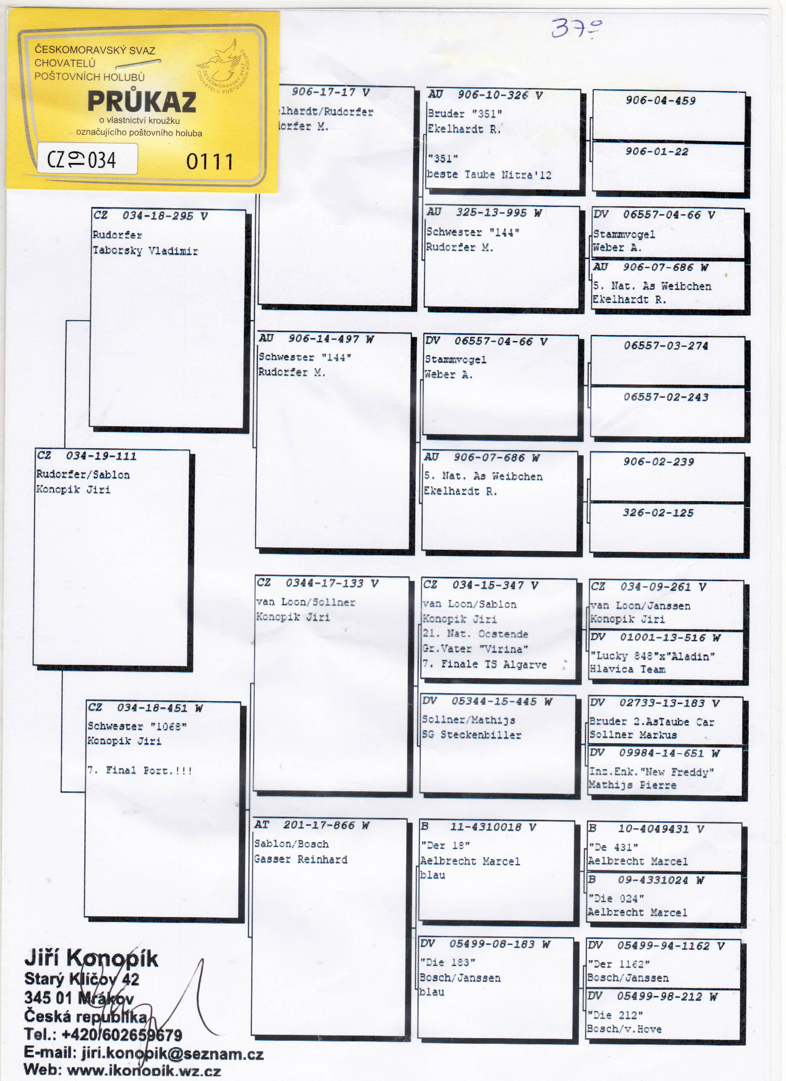 CZ19-034-0111 DİŞİ / KENDİSİ 37 FİNAL 505 KM ALGARVE GOLDEN RACE 17 AS GÜVERCİN