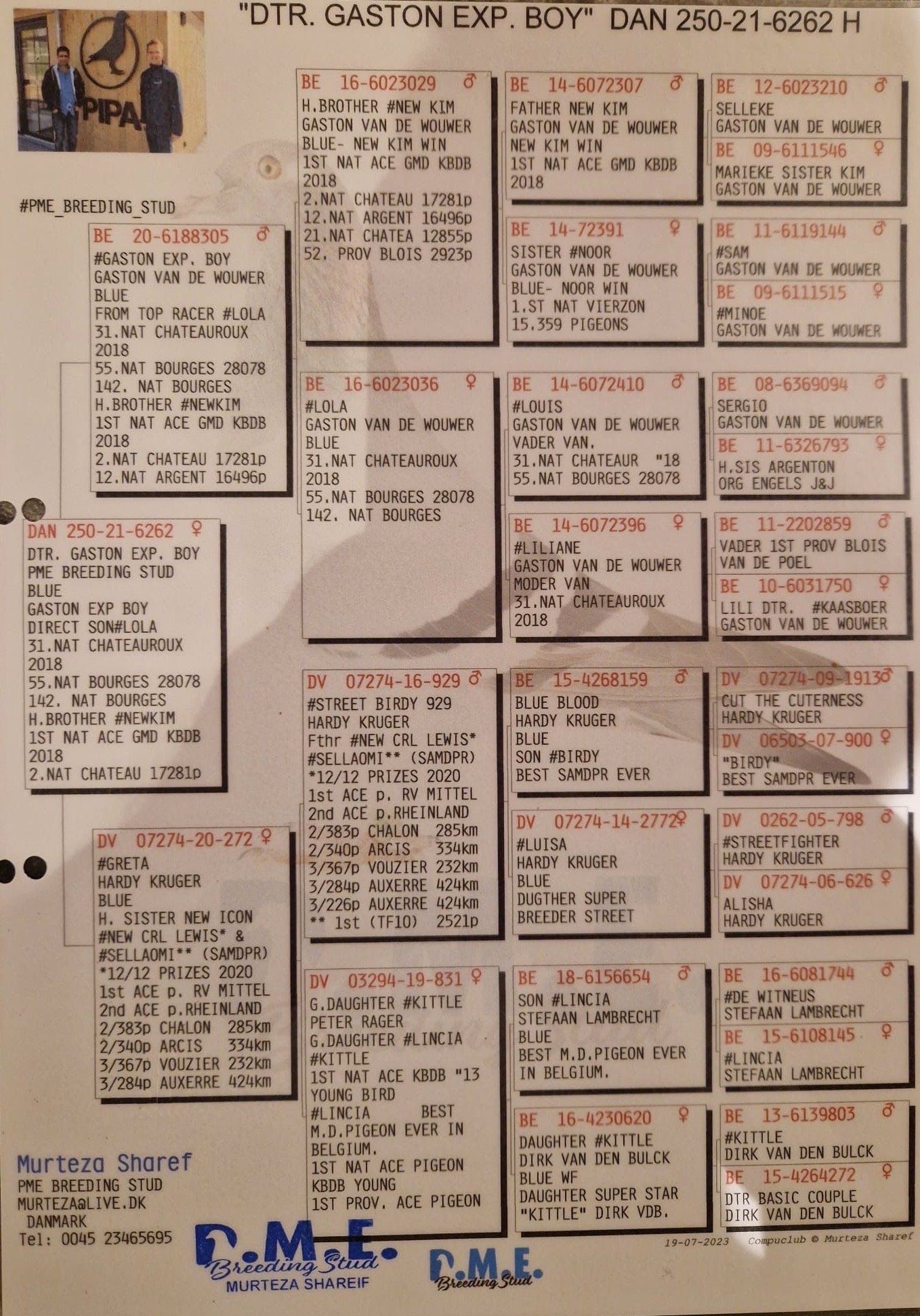 DAN250-21-6262 DİŞİ / GASTON VAN DE WOUWER / HARDY KRUGER